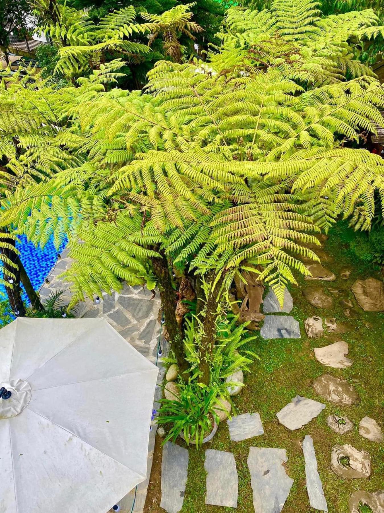 Love House Homestay Sapa Exteriör bild